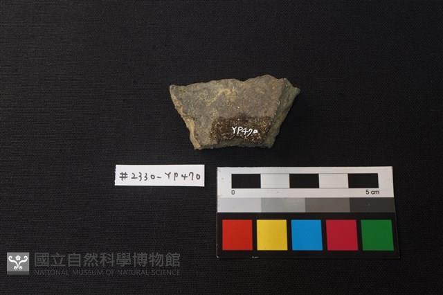 陶片藏品圖，第2張