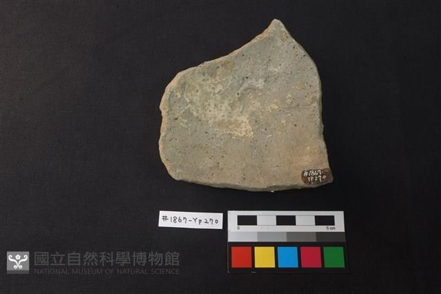 陶片藏品圖，第2張