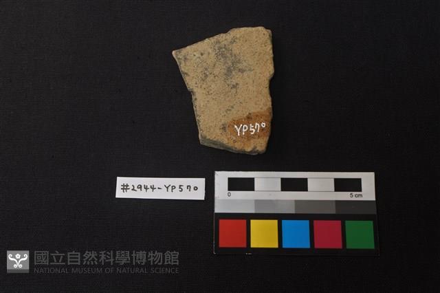 陶片藏品圖，第2張