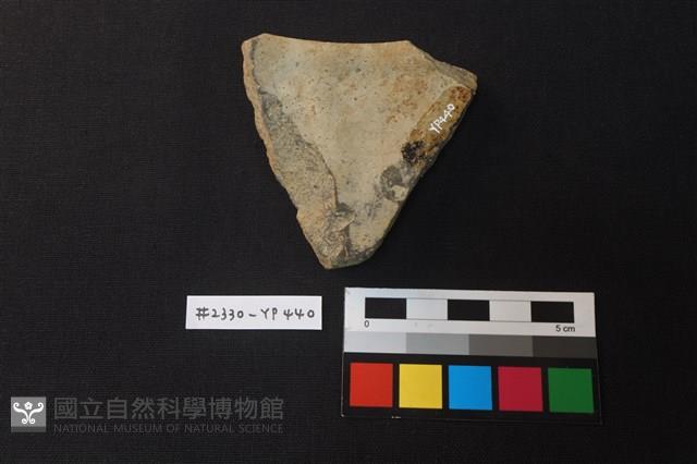 陶片藏品圖，第2張