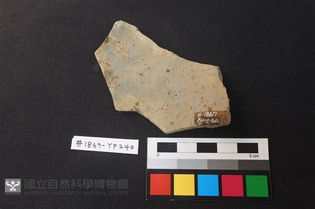 陶片藏品圖，第2張