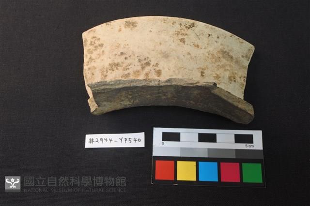 陶片藏品圖，第2張