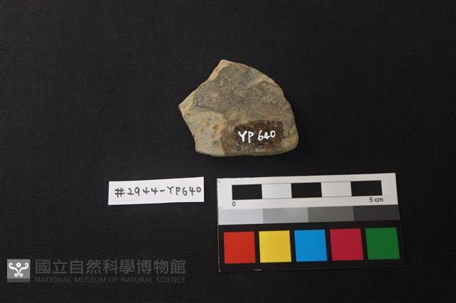 陶片藏品圖，第2張