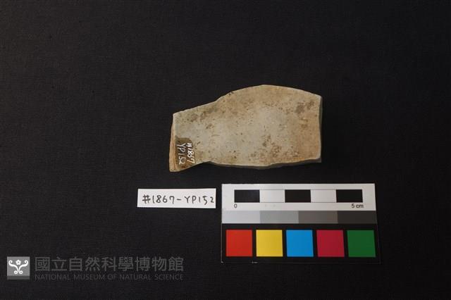 陶片藏品圖，第2張