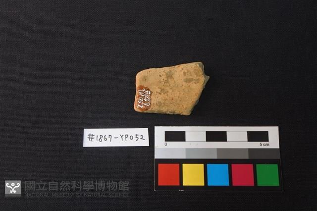 陶片藏品圖，第2張