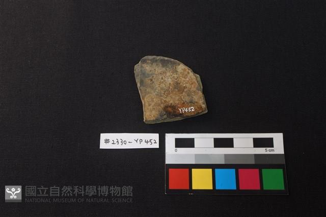 陶片藏品圖，第2張