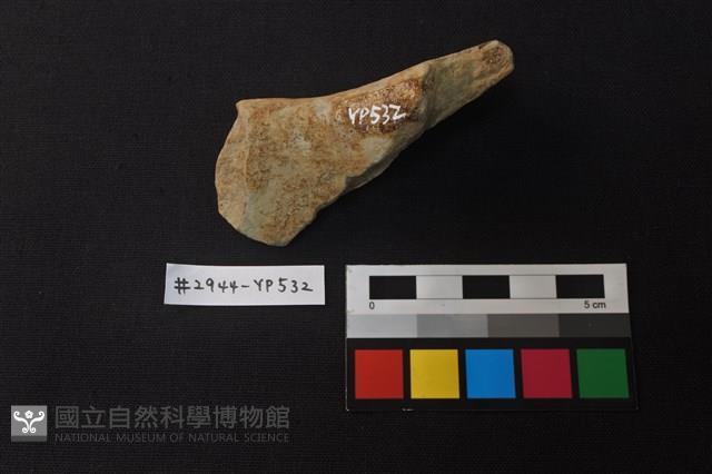 陶片藏品圖，第2張