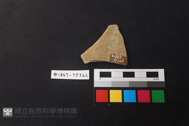 陶片藏品圖，第2張