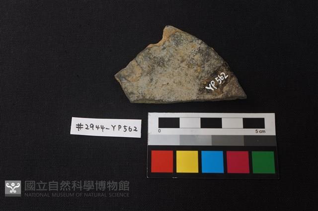 陶片藏品圖，第2張