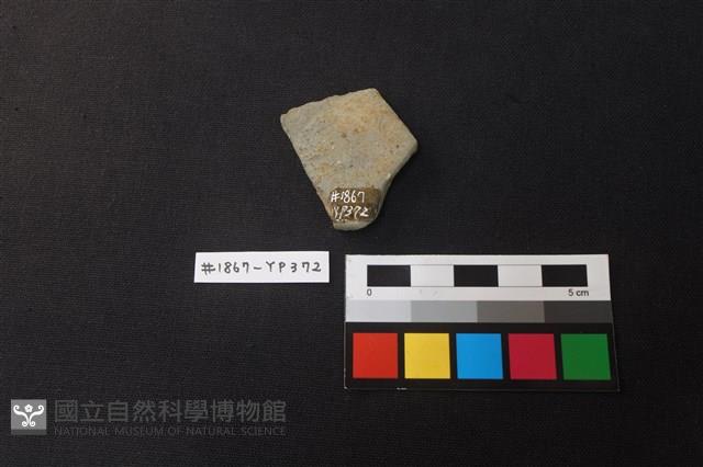 陶片藏品圖，第2張