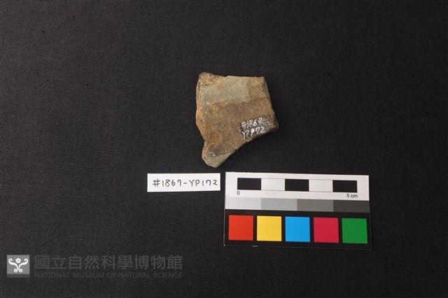 陶片藏品圖，第2張