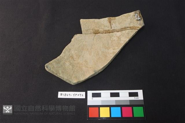 陶片藏品圖，第2張