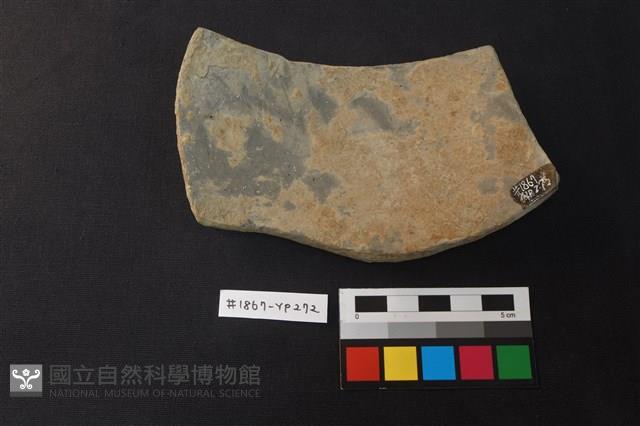 陶片藏品圖，第2張