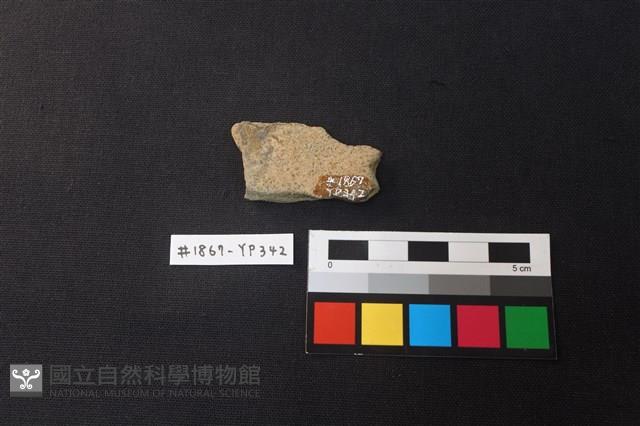 陶片藏品圖，第2張