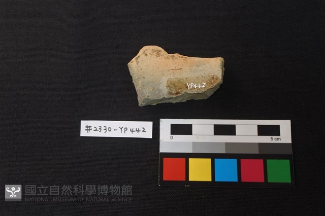 陶片藏品圖，第2張