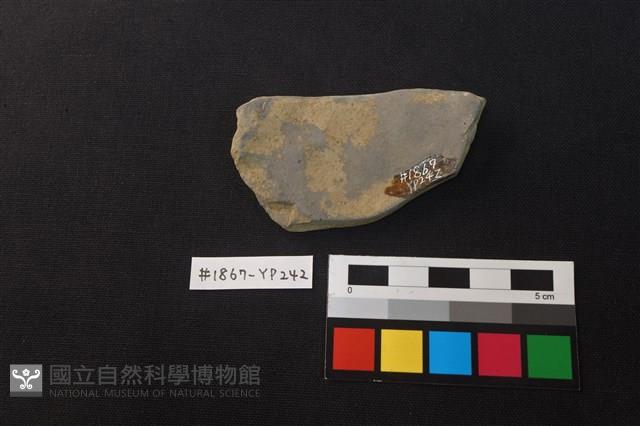 陶片藏品圖，第2張