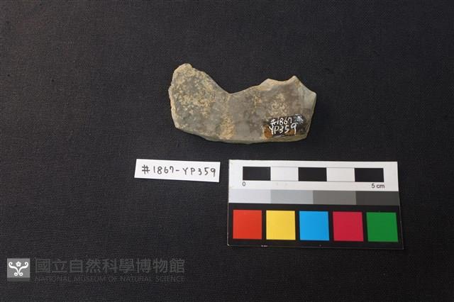 陶片藏品圖，第2張