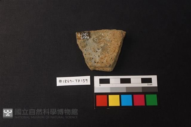 陶片藏品圖，第2張