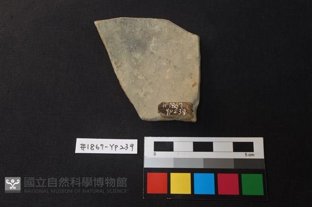 陶片藏品圖，第2張