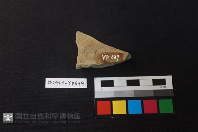 陶片藏品圖，第2張