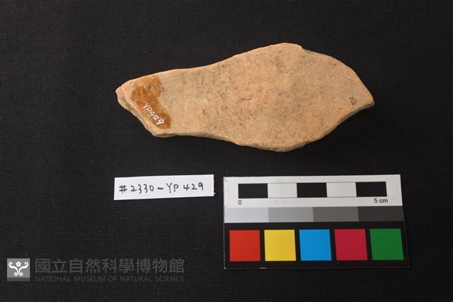 陶片藏品圖，第2張