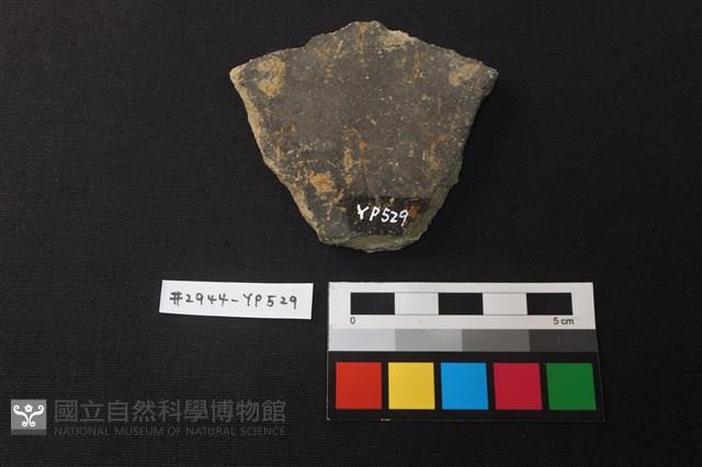 陶片藏品圖，第2張