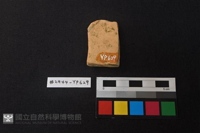 陶片藏品圖，第2張