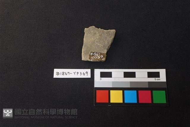 陶片藏品圖，第2張