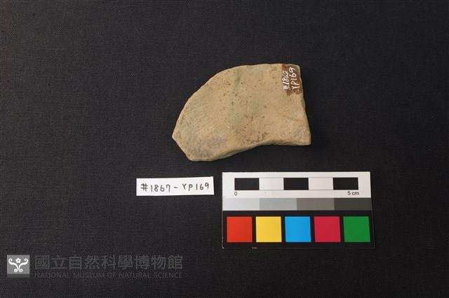陶片藏品圖，第2張