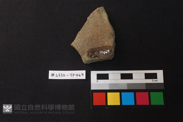 陶片藏品圖，第2張