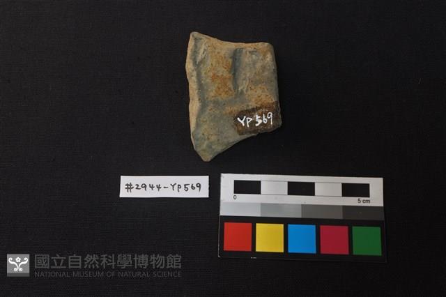 陶片藏品圖，第2張