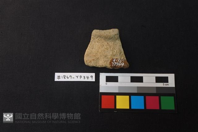 陶片藏品圖，第2張