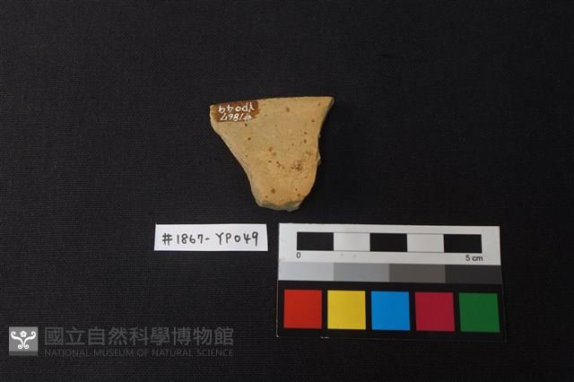 陶片藏品圖，第2張