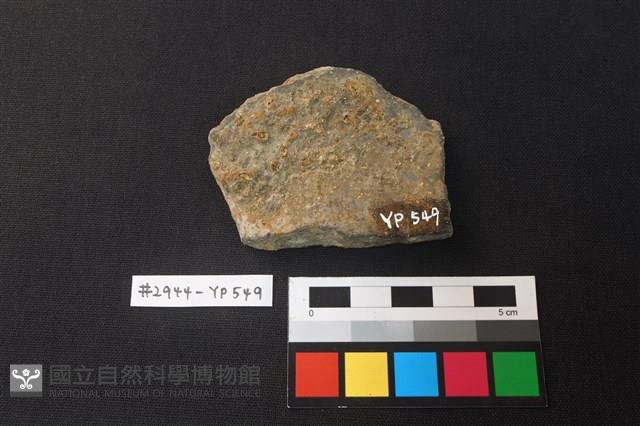 陶片藏品圖，第2張