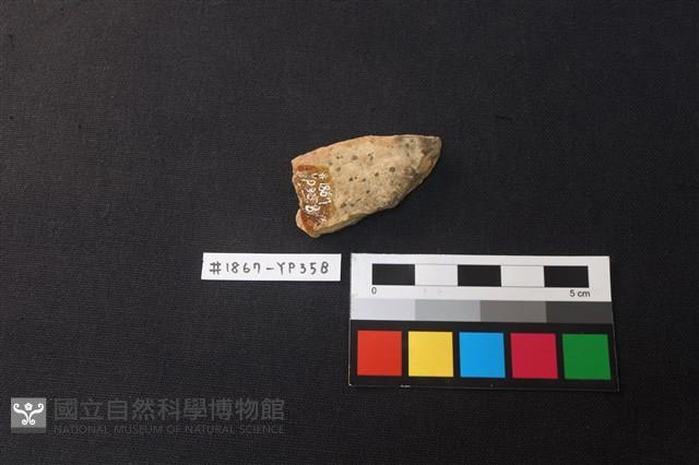陶片藏品圖，第2張