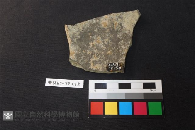 陶片藏品圖，第2張