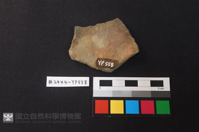 陶片藏品圖，第2張