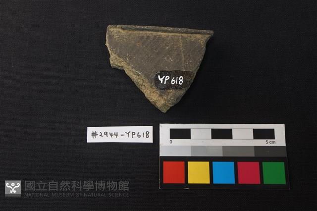 陶片藏品圖，第2張