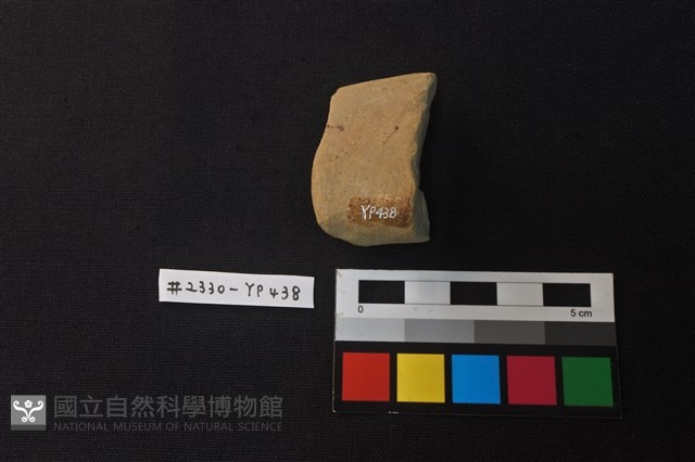 陶片藏品圖，第2張