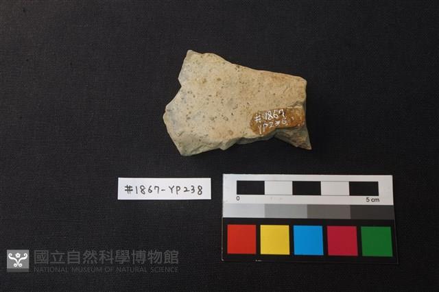 陶片藏品圖，第2張