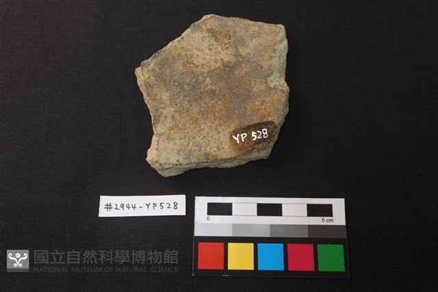 陶片藏品圖，第2張