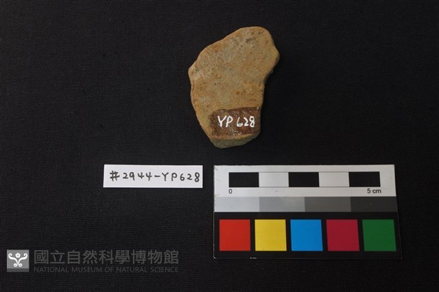 陶片藏品圖，第2張