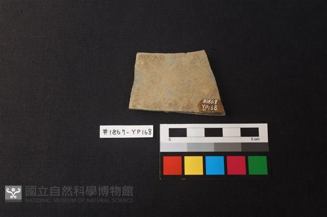 陶片藏品圖，第2張