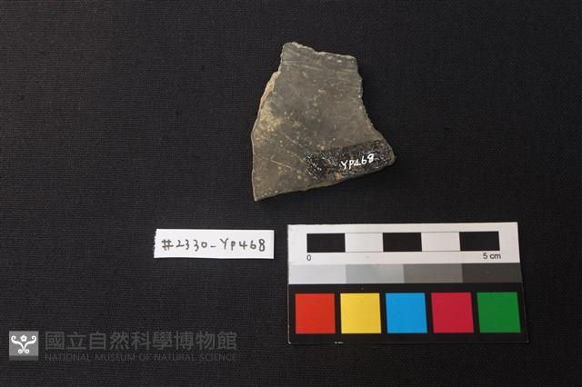 陶片藏品圖，第2張