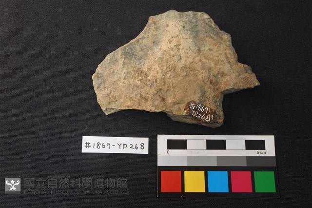 陶片藏品圖，第2張