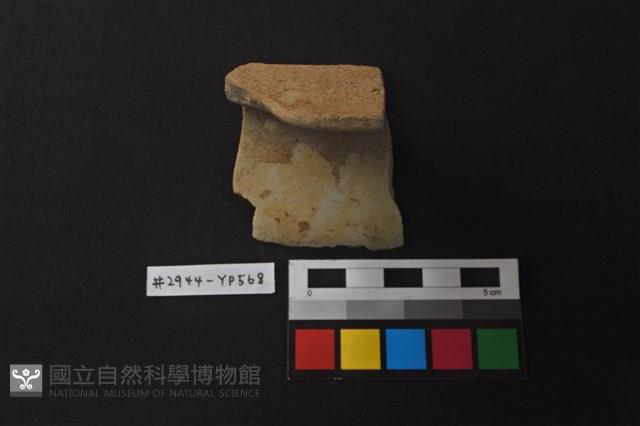 陶片藏品圖，第2張