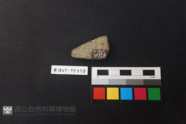 陶片藏品圖，第2張