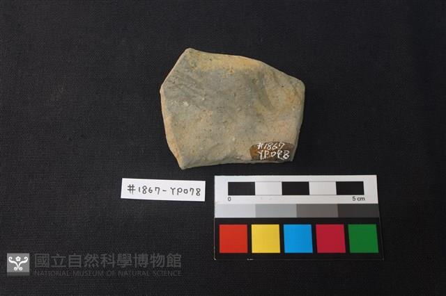 陶片藏品圖，第2張