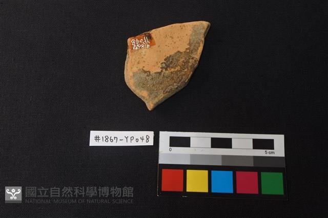 陶片藏品圖，第2張