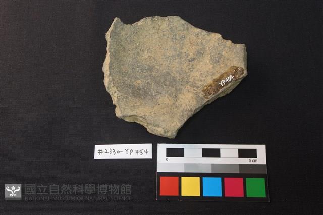 陶片藏品圖，第2張